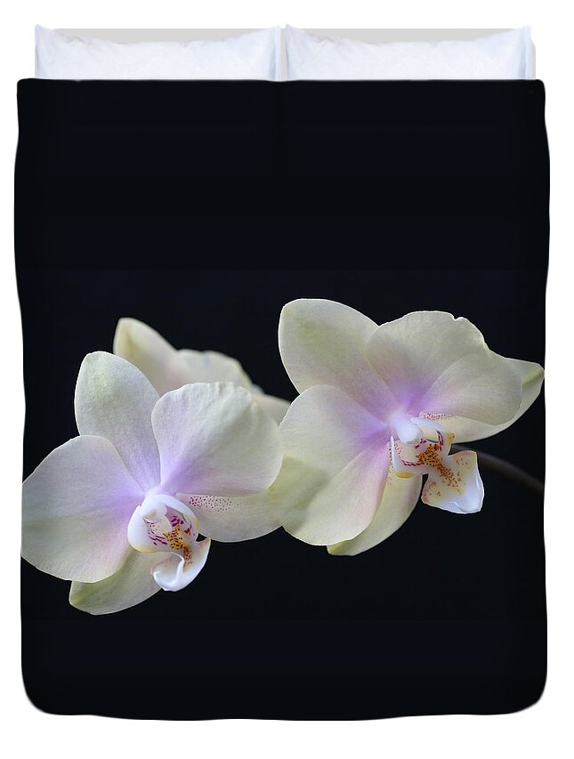 Orchids Duvet Cover featuring the photograph Playful Orchids by Tammy Pool