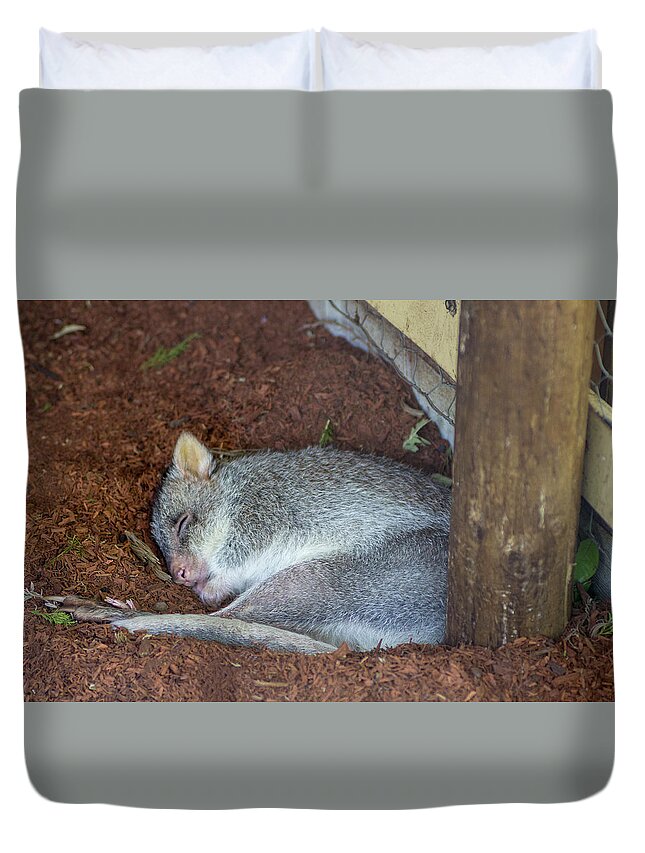 Possum Duvet Cover featuring the photograph Playing Possum by Tania Read