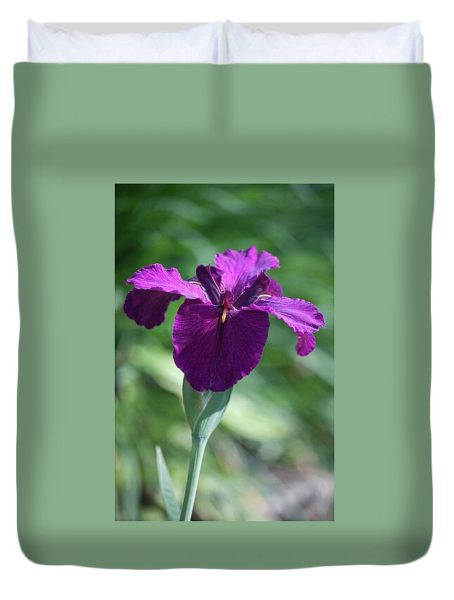 Photograph Duvet Cover featuring the photograph Pleasingly Purple by Suzanne Gaff