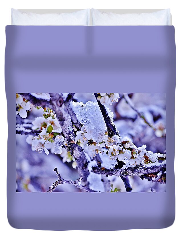 Plum Blossoms Duvet Cover featuring the photograph Plum Blossoms in Snow by Kim Bemis