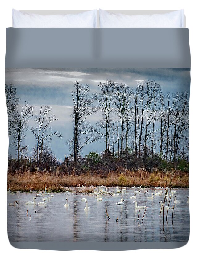 Nature Duvet Cover featuring the photograph Pocosin Lakes NWR by Donald Brown
