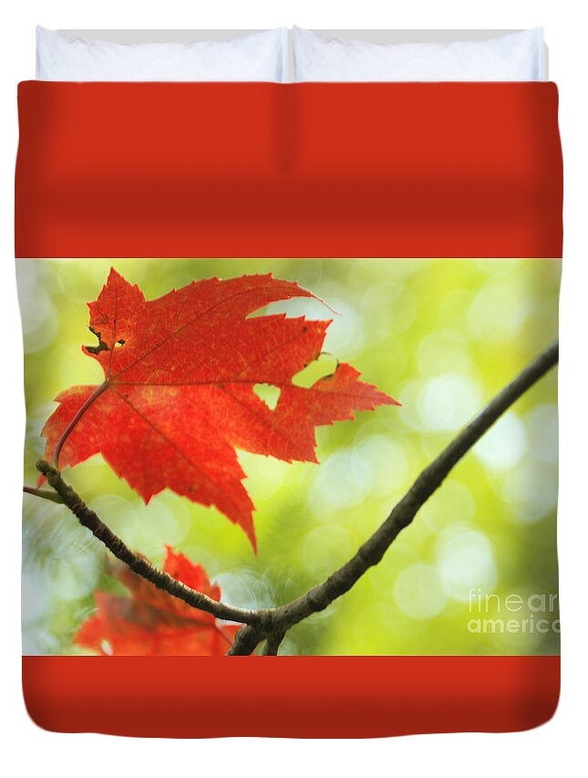 red Maple Leaf Duvet Cover featuring the photograph Poesie d'Automne by Aimelle Ml