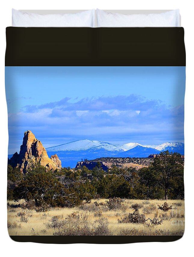 Southwest Landscape Duvet Cover featuring the photograph Point with a view by Robert WK Clark