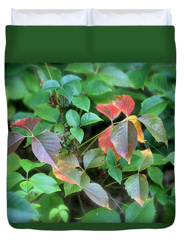Poison Ivy Duvet Cover featuring the photograph Poison Ivy in August by John Meader
