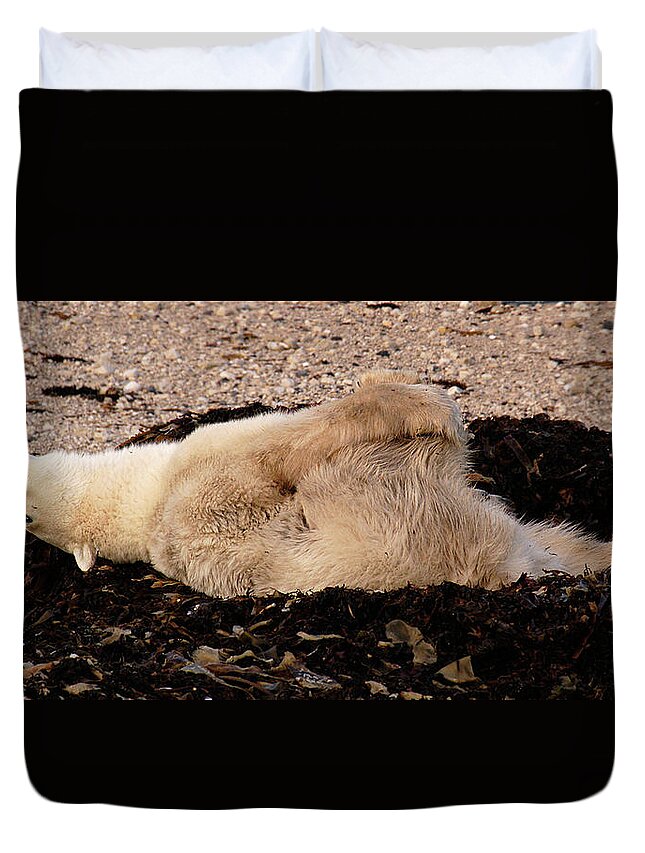 Polar Duvet Cover featuring the photograph Polar Bear Warmup by Ted Keller