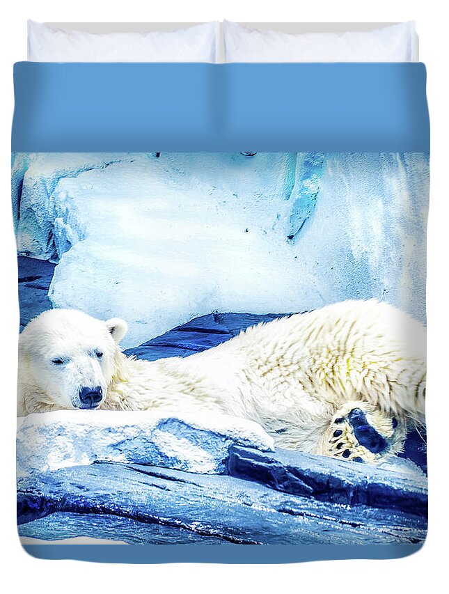 Polar Duvet Cover featuring the photograph Polar by Camille Lopez