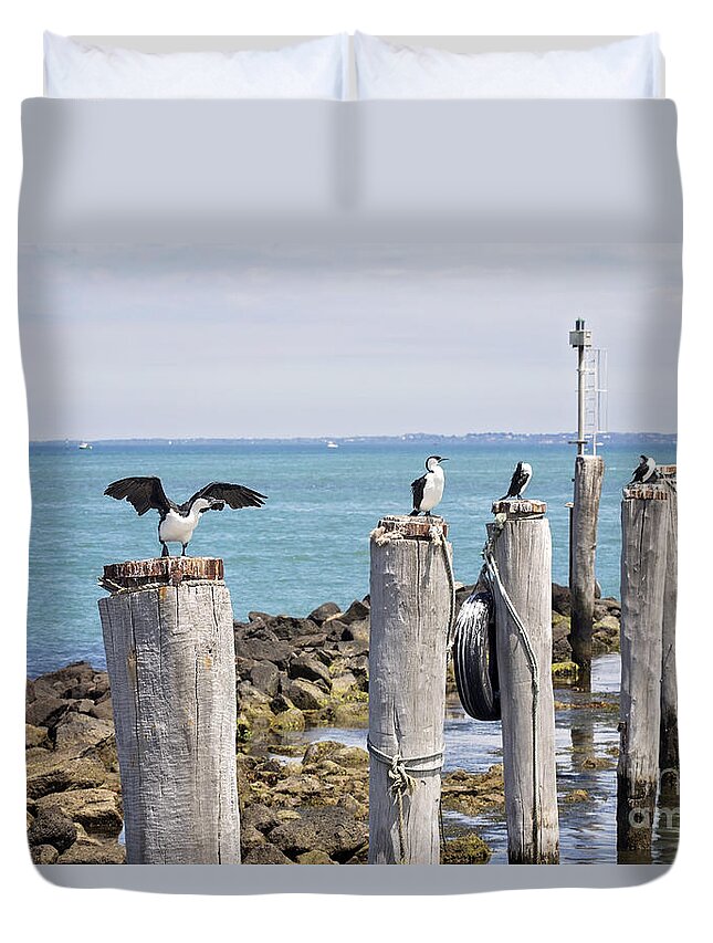 Beach Duvet Cover featuring the photograph Pole Sitters by Linda Lees