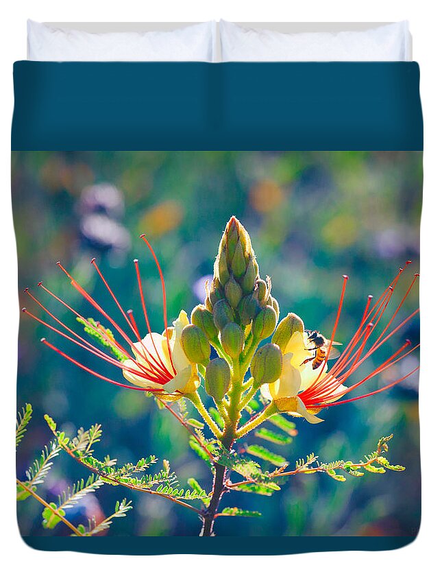 Honey Bee Duvet Cover featuring the photograph Pollination by Ram Vasudev