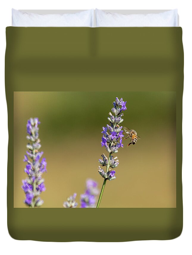 Lavender Duvet Cover featuring the photograph Pollination by Rod Best