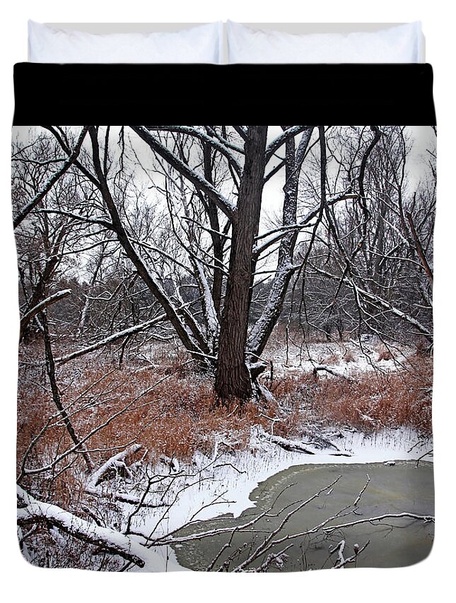 Winter Duvet Cover featuring the photograph Pond In The Woods by Debbie Oppermann