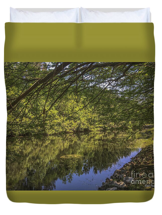 Pond Duvet Cover featuring the photograph Pond Reflections in Mount Pleasant SC by Dale Powell