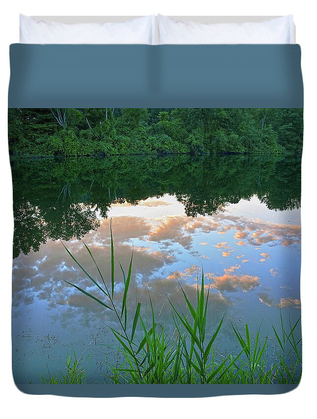 Reflections Duvet Cover featuring the photograph Pondering by Angelo Marcialis