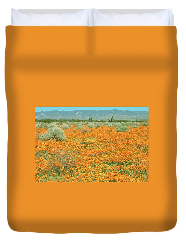 California Poppy Field Duvet Cover featuring the photograph Poppies for Ever - Poppy Fields Mojave Desert California by Ram Vasudev