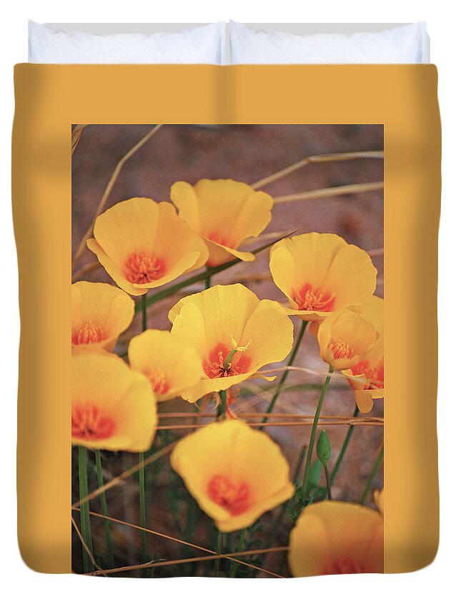 Fine Art Duvet Cover featuring the photograph Poppies on Mount Lemmon by Donna Greene