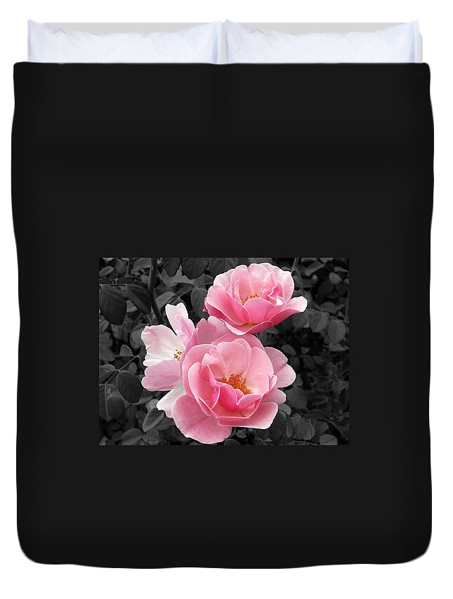 Flower Duvet Cover featuring the photograph Popping Pink Roses by Amy Fose