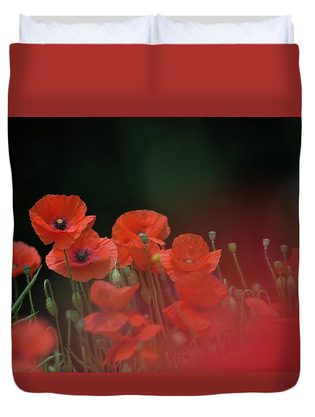 Wild Duvet Cover featuring the photograph Poppy Black by Pete Walkden