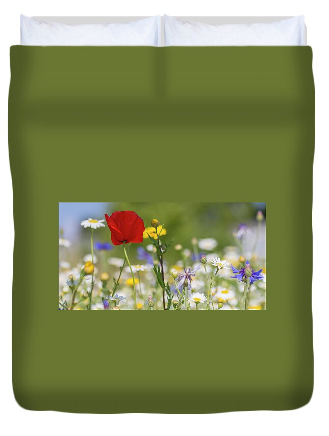 Poppy Duvet Cover featuring the photograph Poppy in Meadow by Diane Fifield