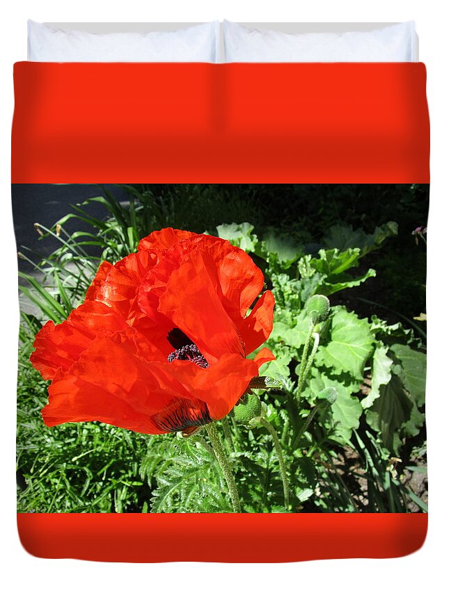 Poppy Duvet Cover featuring the photograph Poppy Love by Rosita Larsson