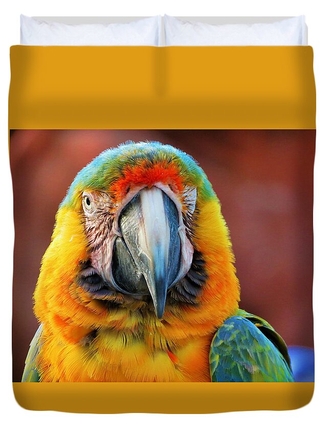 Birds Duvet Cover featuring the photograph Portrait of a Bird by Vijay Sharon Govender