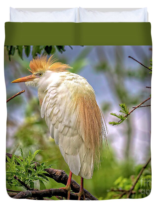 Egrets Duvet Cover featuring the photograph Portrait of a Cattle Egret by DB Hayes