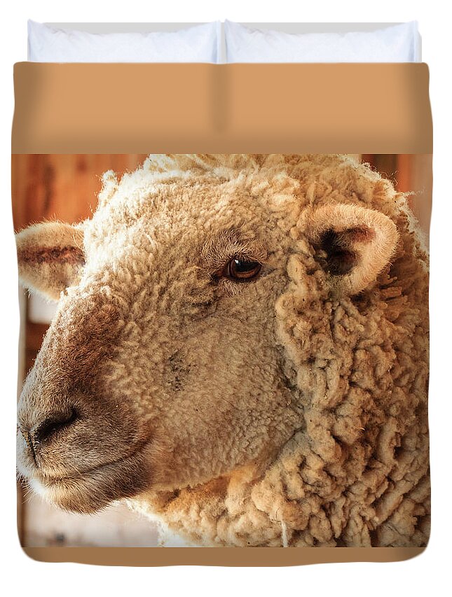 Farm Duvet Cover featuring the photograph Portrait of a Southdown Sheep by Joni Eskridge