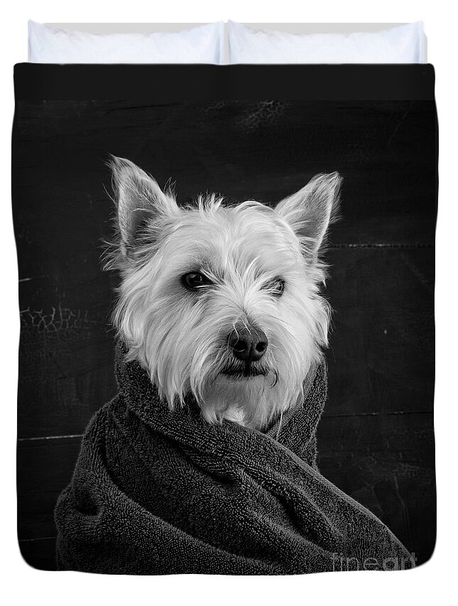#faatoppicks Duvet Cover featuring the photograph Portrait of a Westie Dog by Edward Fielding