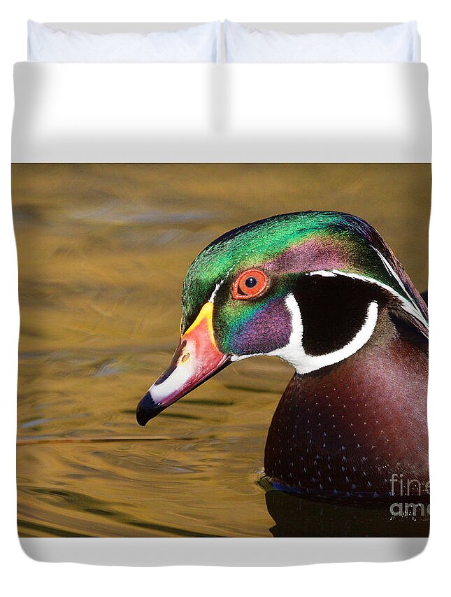 Wood Duck Duvet Cover featuring the photograph Portrait of A Wood Duck by Ruth Jolly