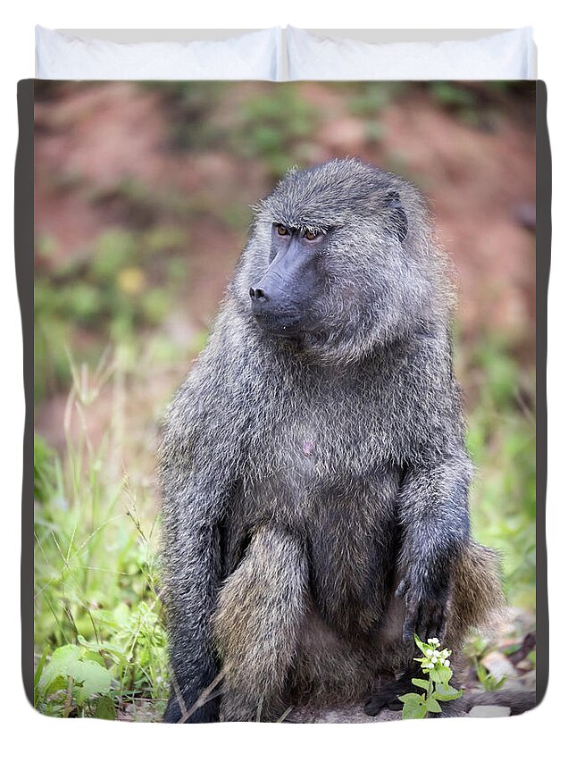 Africa Duvet Cover featuring the photograph Portrait of Common Baboon by Karen Foley