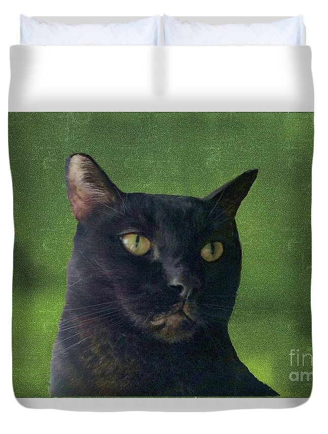 Cat Duvet Cover featuring the photograph Portrait of Salem the Cat by Janette Boyd