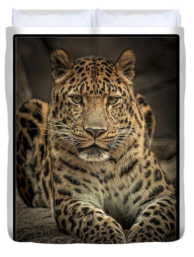 Krepkey Was His Name At The Philadelphia Zoo Duvet Cover featuring the photograph Poser by Cheri McEachin