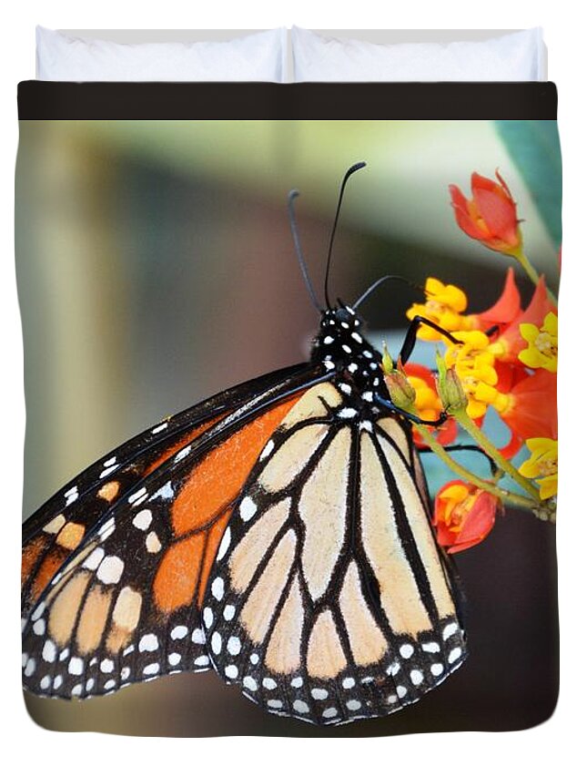 Flora Duvet Cover featuring the photograph Posing Pretty by Lisa Kilby