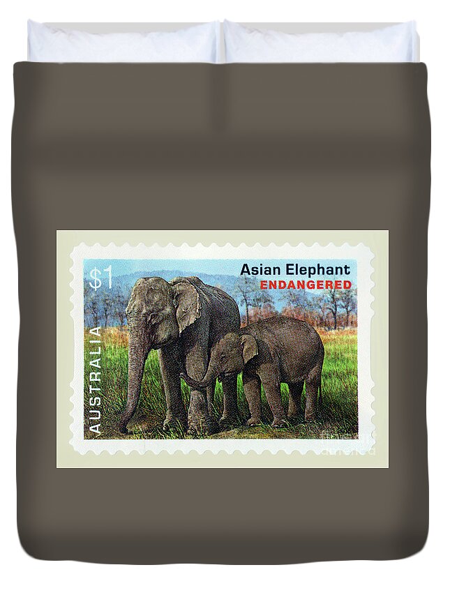 Postage Stamp Duvet Cover featuring the photograph Postage Stamp - Asian Elephant by Kaye Menner by Kaye Menner