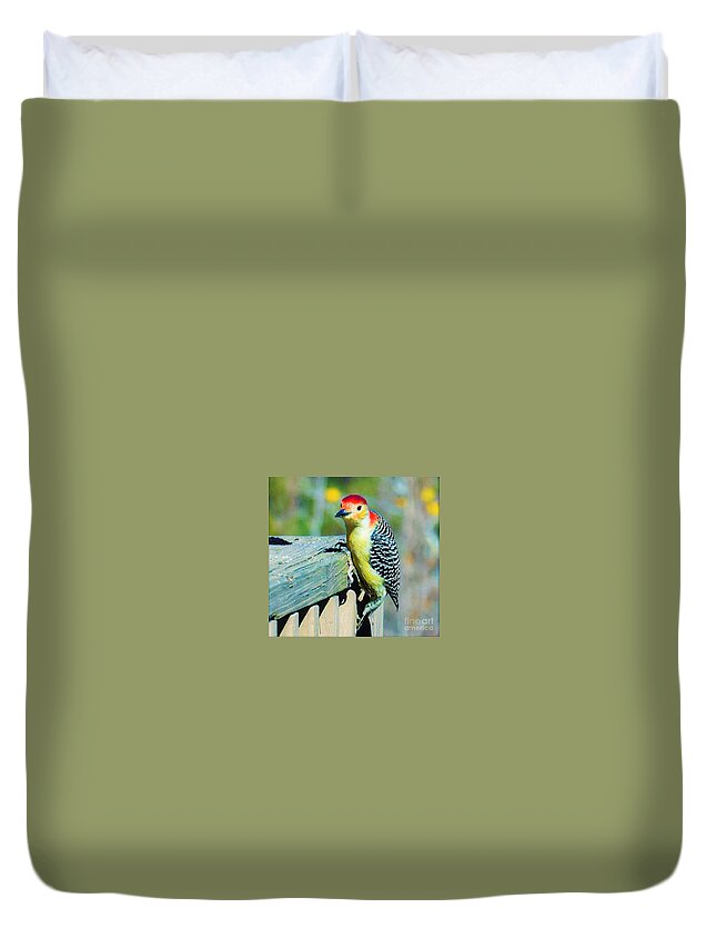 Woodpecker Duvet Cover featuring the photograph Posted by Brianna Kelly