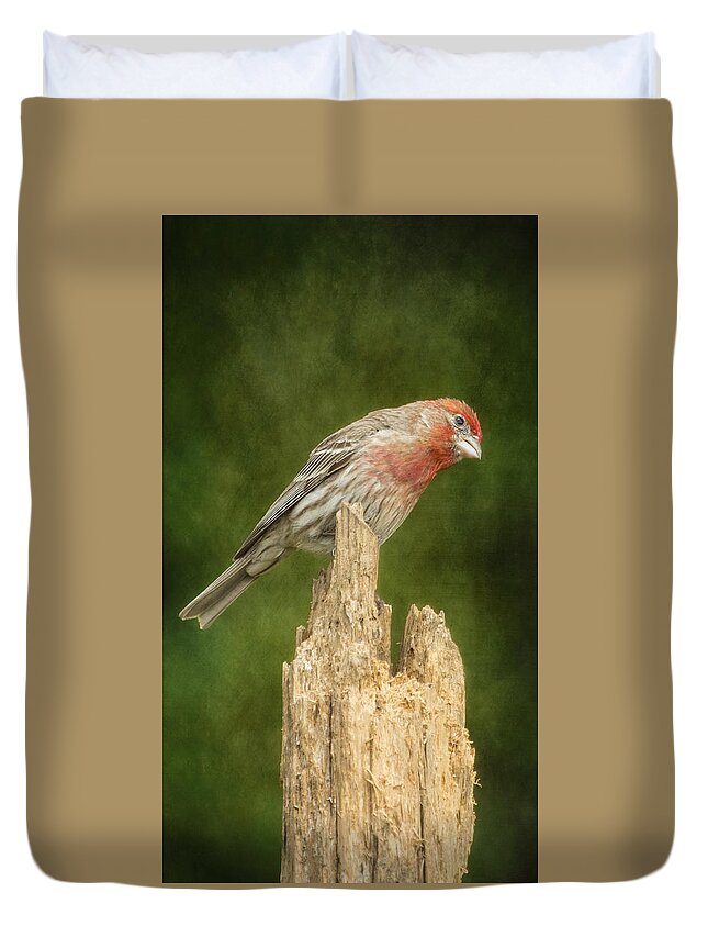 Finch Duvet Cover featuring the photograph Posted FInch by Bill and Linda Tiepelman