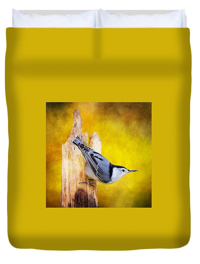 Sitta Carolinensis Duvet Cover featuring the photograph Posted Nuthatch On Point by Bill and Linda Tiepelman
