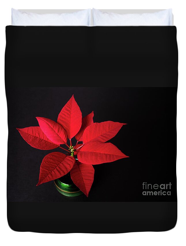 Poinsettia Duvet Cover featuring the photograph Potted Poinsettia by Ann Horn