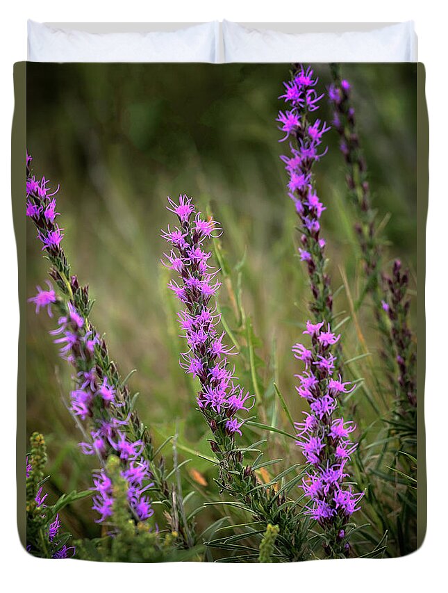 Blazing Star Duvet Cover featuring the photograph Prairie Blazing Star by Susan Rissi Tregoning
