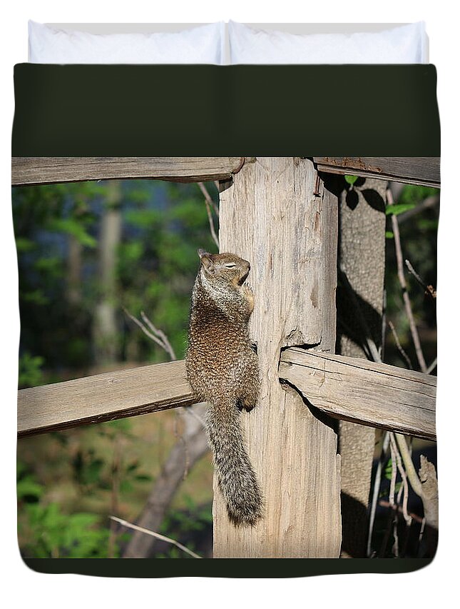 Squirrel Duvet Cover featuring the photograph Praying for Nuts by Christy Pooschke