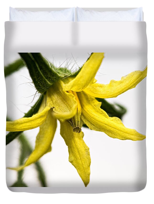 Tomato Duvet Cover featuring the photograph Pre-Tomato by Christopher Holmes