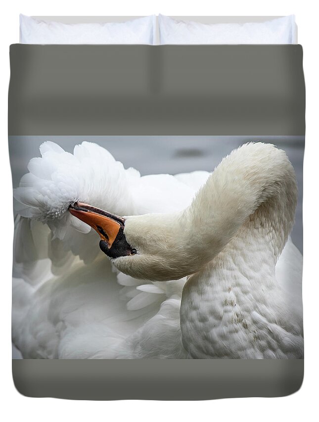 Swan Duvet Cover featuring the photograph Preening Swan-7758 by Steve Somerville