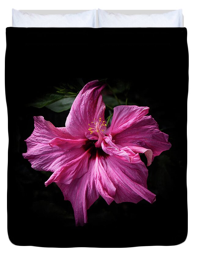 Botanical Duvet Cover featuring the photograph Prettiest in Pink by Venetia Featherstone-Witty