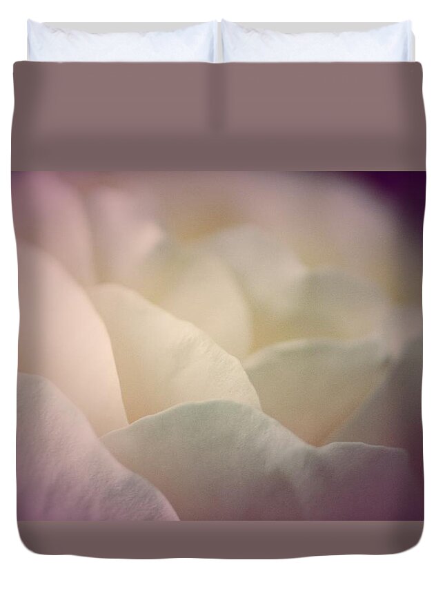  Duvet Cover featuring the photograph Pretty Cream Rose by The Art Of Marilyn Ridoutt-Greene