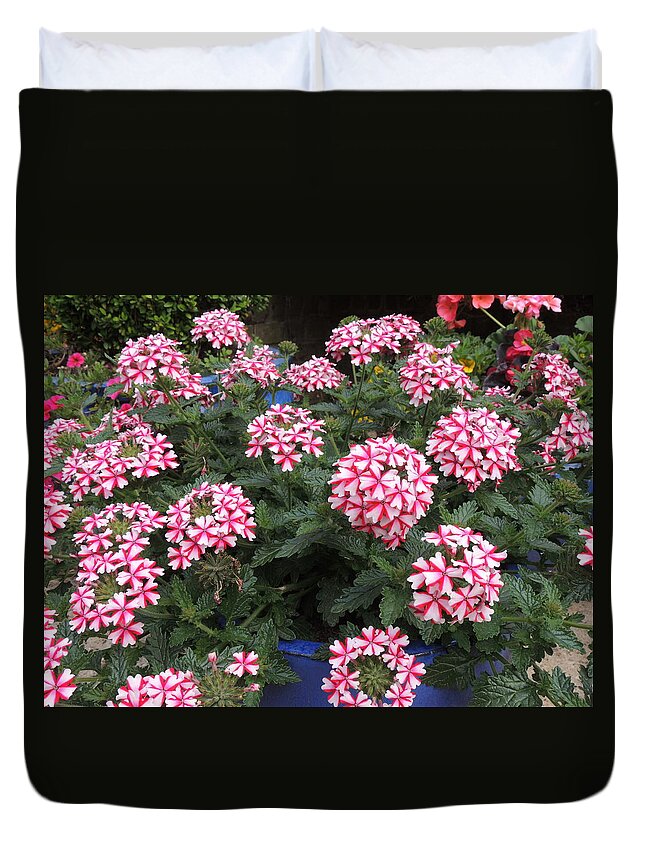 Beautiful; Pretty; Gorgeous; Garden Duvet Cover featuring the photograph Pretty Flowers by Pat Tester