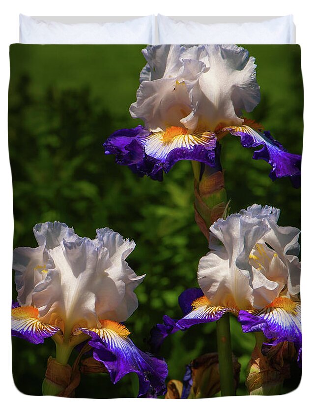 Iris Duvet Cover featuring the photograph Pretty Maids In Spring Glory by Jim Moore