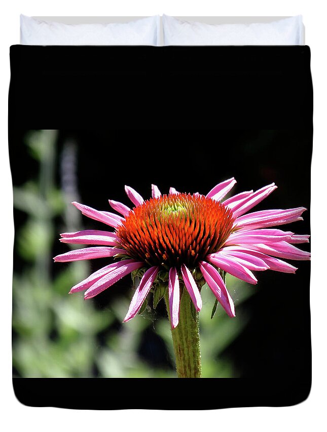 Coneflower Duvet Cover featuring the photograph Pretty Pink Coneflower by Rona Black