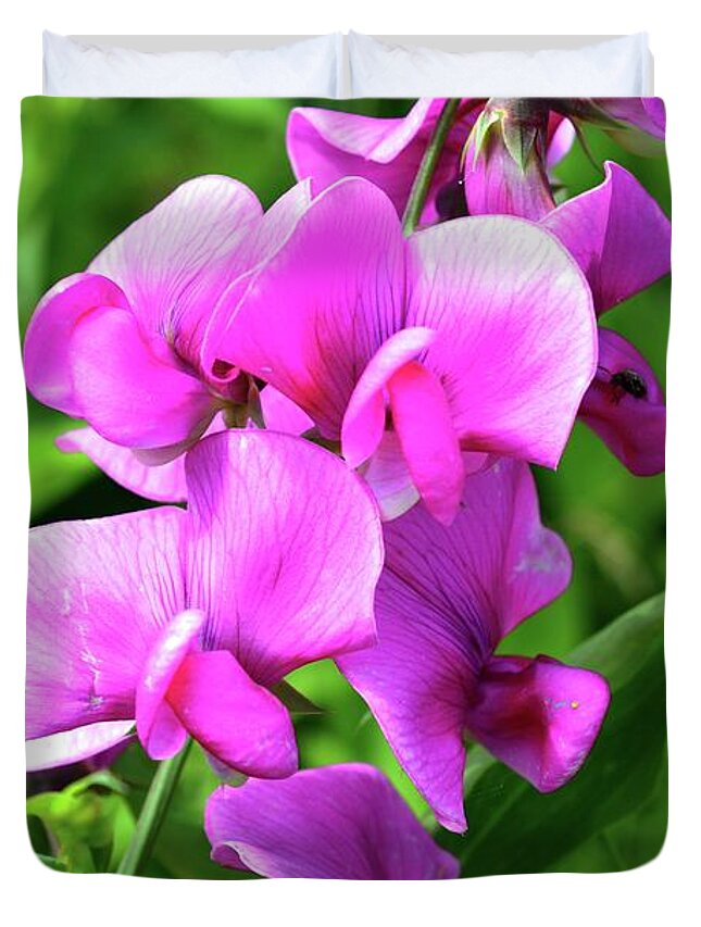 Nature Duvet Cover featuring the photograph Pretty Pink Sweetpea by Lyle Crump