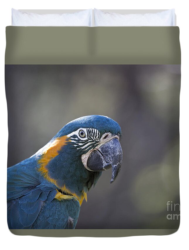 Macaw Duvet Cover featuring the photograph Pretty V4 by Douglas Barnard