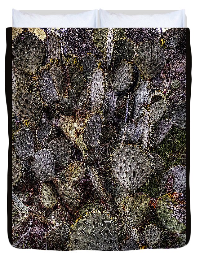 Arizona Duvet Cover featuring the photograph Prickly Pear Cactus at Tonto National Monument by Roger Passman