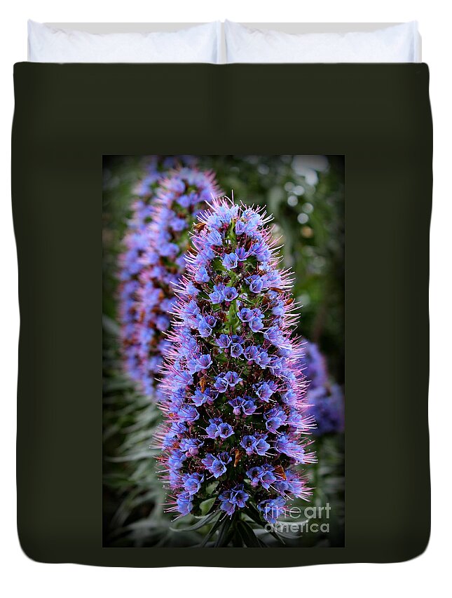 Pride Of Madeira Duvet Cover featuring the photograph Pride by Clare Bevan