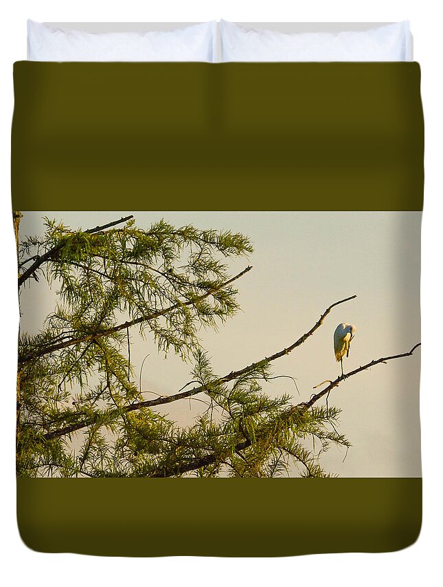 Egret Duvet Cover featuring the photograph Primping by Barry Bohn